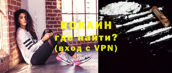 кокс Елизово