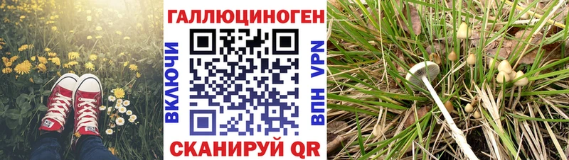Галлюциногенные грибы GOLDEN TEACHER  Чекалин 